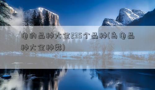 龟的品种大全235个品种(乌龟品种大全种类)