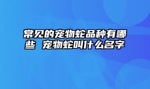 常见的宠物蛇品种有哪些 宠物蛇叫什么名字