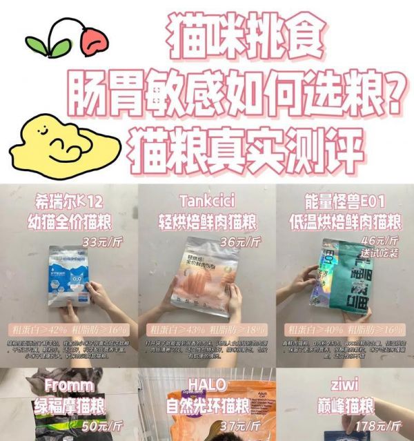 普通猫粮如何改善消化？掺什么可以提高消化率？