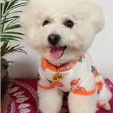 第一次带小比熊犬到宠物游泳池去游泳的具体表现有哪些?