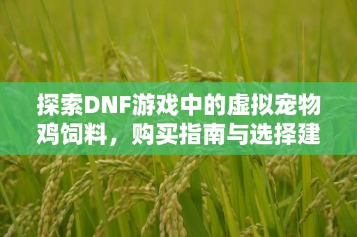 探索DNF游戏中的虚拟宠物鸡饲料，购买指南与选择建议