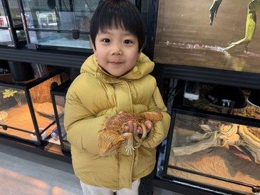 探秘奥森秘境爬虫生态馆，解锁新奇自然体验