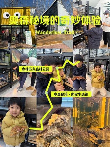 探秘奥森秘境爬虫生态馆，解锁新奇自然体验