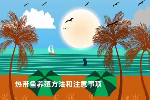 热带鱼养殖方法和注意事项