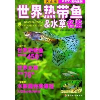 “热带鱼宠物日常分享”