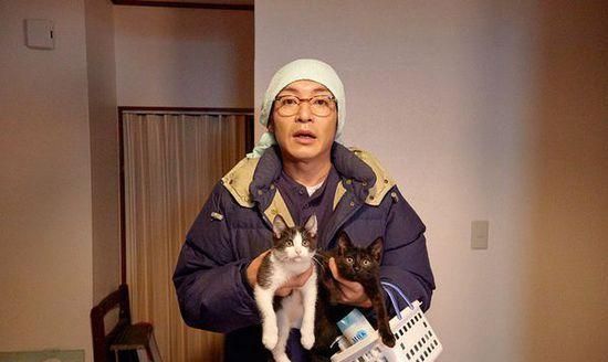 人与猫的故事，其实不只是主人与宠物那么简单！