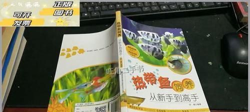 热带鱼饲养新手必备的几种方法（让你成为热带鱼饲养高手的关键技巧）