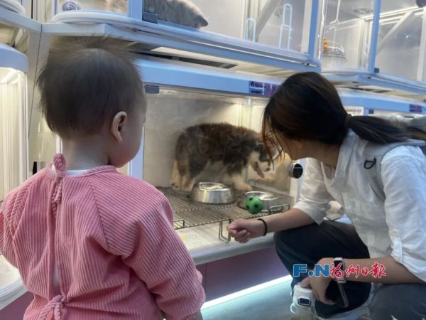0元？免费？当心背后猫腻……