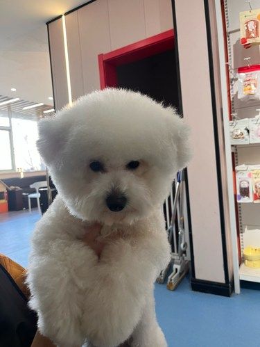 宠物店欢乐多