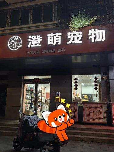 宠物店的暖心事