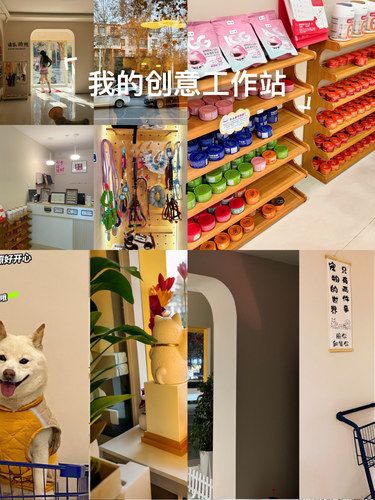 这家宠物店环境太好了吧！进门淡淡的香味