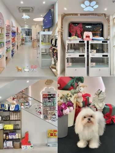 萧山！！终于有了满意的宠物美容店