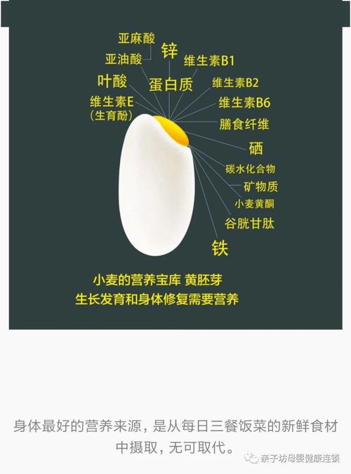 微量元素:宠物健康守护神