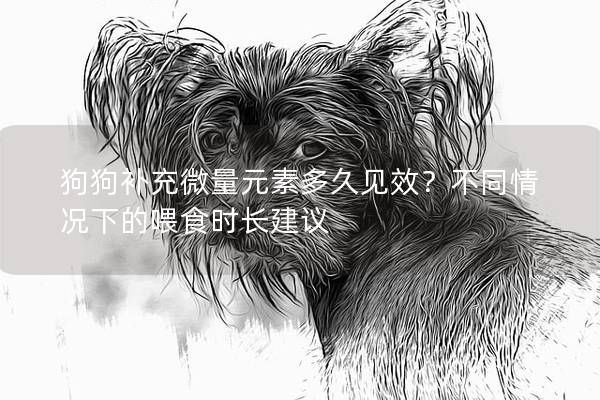 狗狗补充微量元素多久见效？不同情况下的喂食时长建议