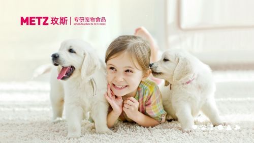 均衡营养,关爱宠物健康