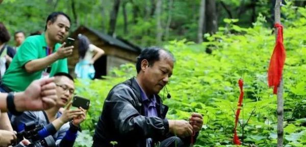 微量元素在阿富汗营养中的重要性（如何通过宠物的饮食来补充微量元素？）