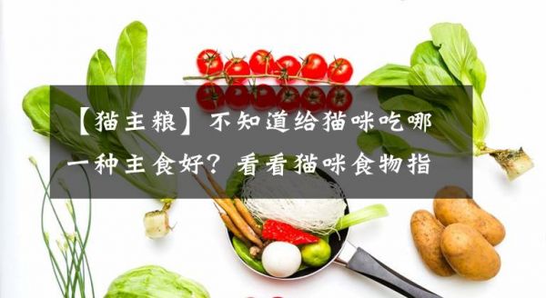 【猫主粮】不知道给猫咪吃哪一种主食好？看看猫咪食物指南再做决定文章配图