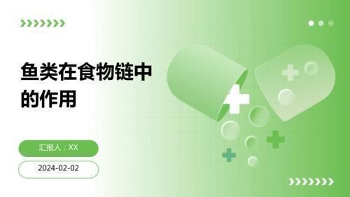 亚马逊河鱼类食物链关系图谱（亚马逊河食物链关系图谱：亚马逊河鱼类食物链关系图谱）
