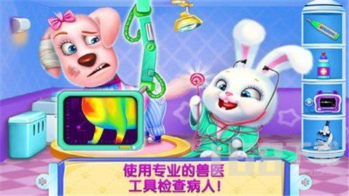 宠物急救指南:守护健康,守护爱宠
