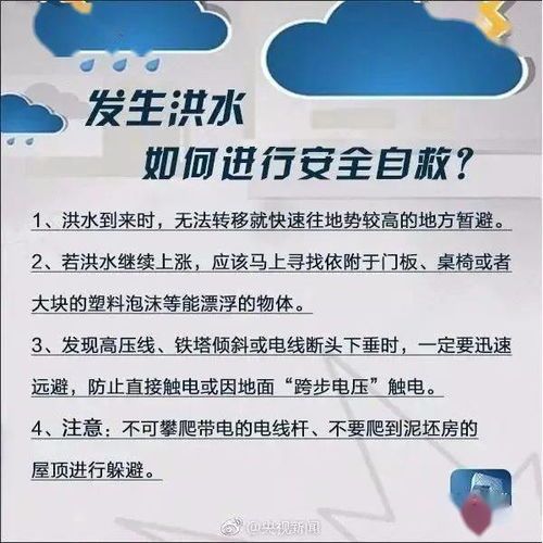 宠物抽搐急救与预防指南
