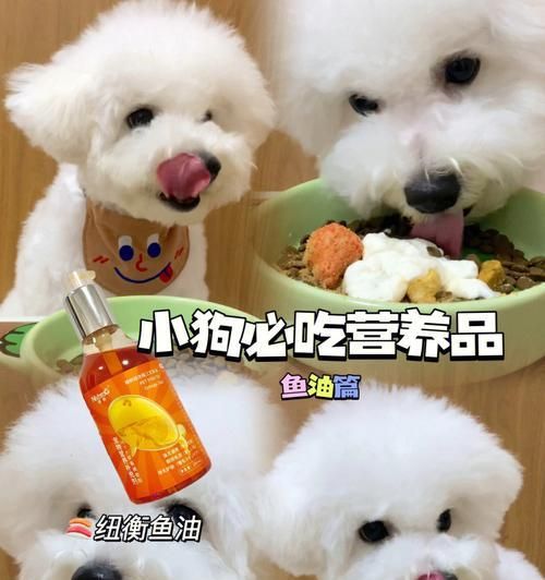 小狗能吃猪红吗（猪红营养价值及对小狗的影响）