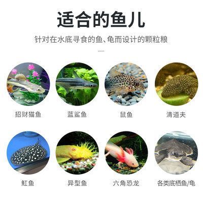 六角恐龙鱼饲料（六角恐龙鱼喂食频率调整方法六角恐龙鱼颗粒饲料营养成分）