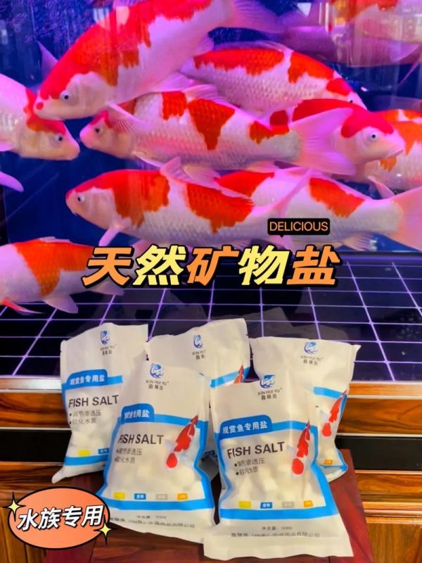 鱼类生理盐水怎么配