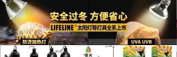 龟产蛋少？你该看看这个——宠景