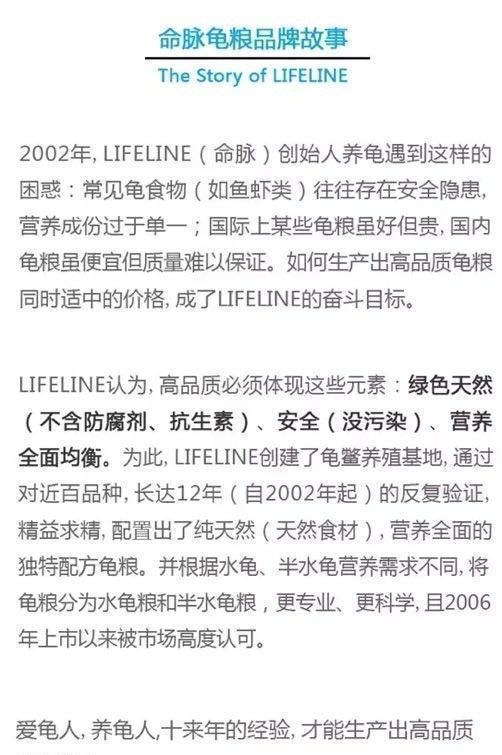龟产蛋少？你该看看这个——宠景