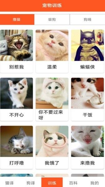 萌趣猫狗翻译器app下载