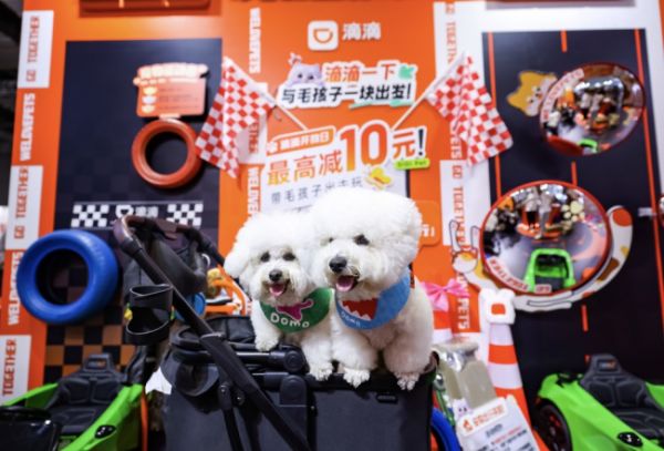 毛孩子们在滴滴展区打卡留影
