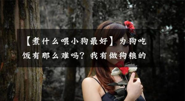 【煮什么喂小狗最好】为狗吃饭有那么难吗？我有做狗粮的菜谱~文章配图