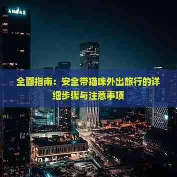 全面指南：安全带猫咪外出旅行的详细步骤与注意事项