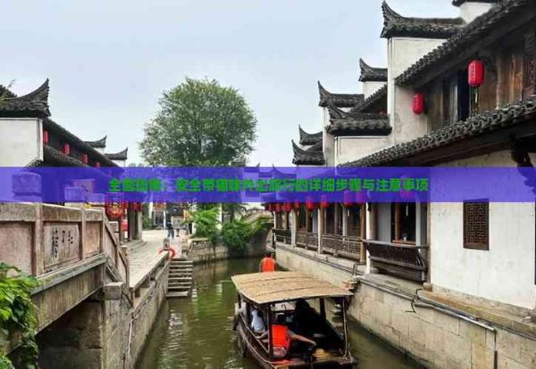 全面指南：安全带猫咪外出旅行的详细步骤与注意事项