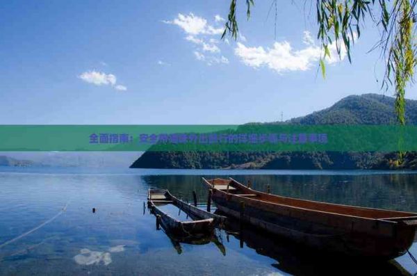 全面指南：安全带猫咪外出旅行的详细步骤与注意事项