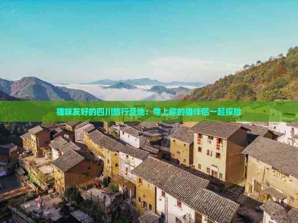 猫咪友好的四川旅行圣地：带上你的猫伴侣一起探险