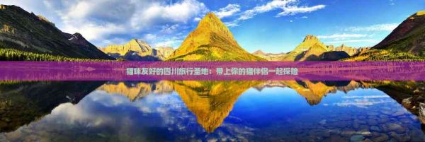猫咪友好的四川旅行圣地：带上你的猫伴侣一起探险