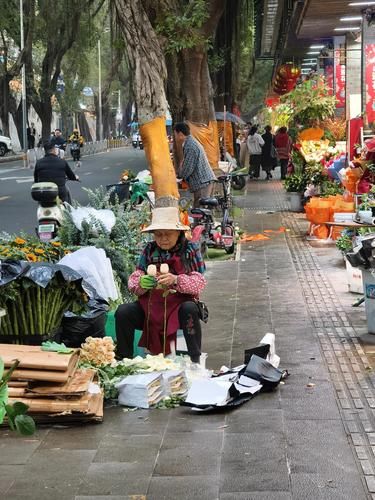 深圳这条花街太惊艳了！