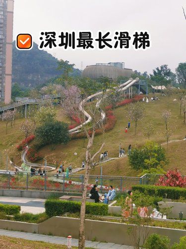 深圳最长的滑梯有木有