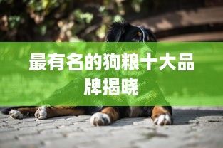 最有名的狗粮十大品牌揭晓