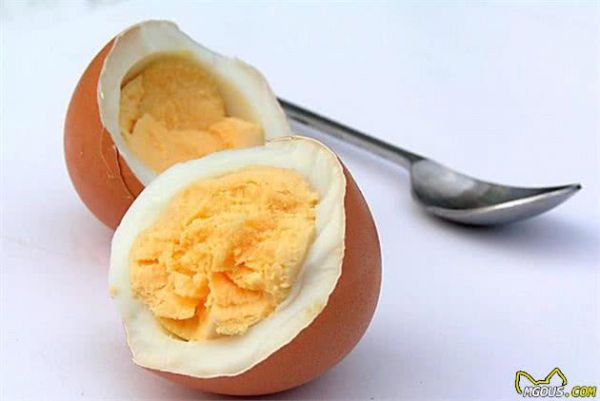 养狗小知识：狗狗最喜欢吃的5种食物，在它们眼里就是美食！