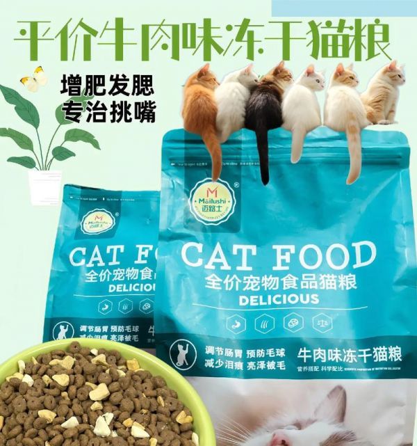 笨猫适合吃哪种猫粮？