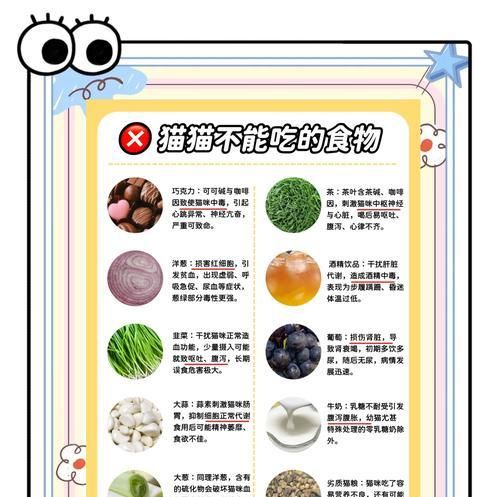 猫粮全是谷物对猫咪有什么影响？如何平衡猫咪的饮食？