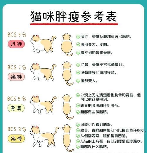 猫粮酸碱性如何判断？对猫咪健康有何影响？
