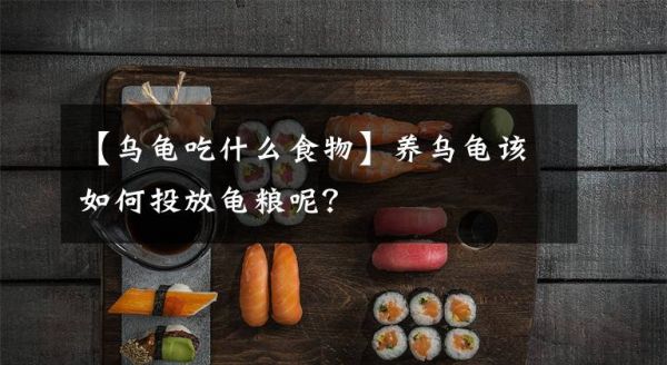 【乌龟吃什么食物】养乌龟该如何投放龟粮呢？文章配图