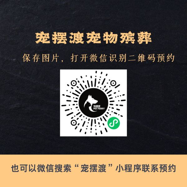 福州宠物身后事：如何处理宠物的遗体告别仪式