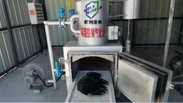宠物猪