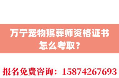2万宁宠物殡葬师资格证书怎么考取?