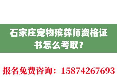 2石家庄宠物殡葬师资格证书怎么考取?