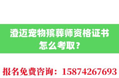2澄迈宠物殡葬师资格证书怎么考取?